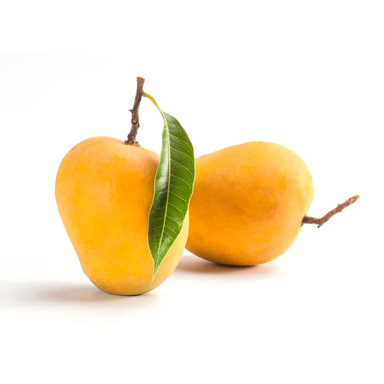 Alphonso Mango Premium