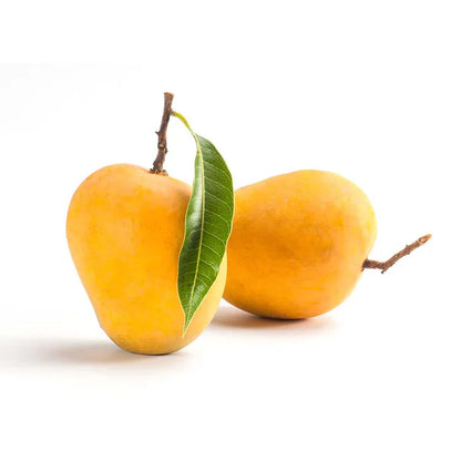 Alphonso Mango Premium